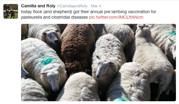 Farming - tweet 2