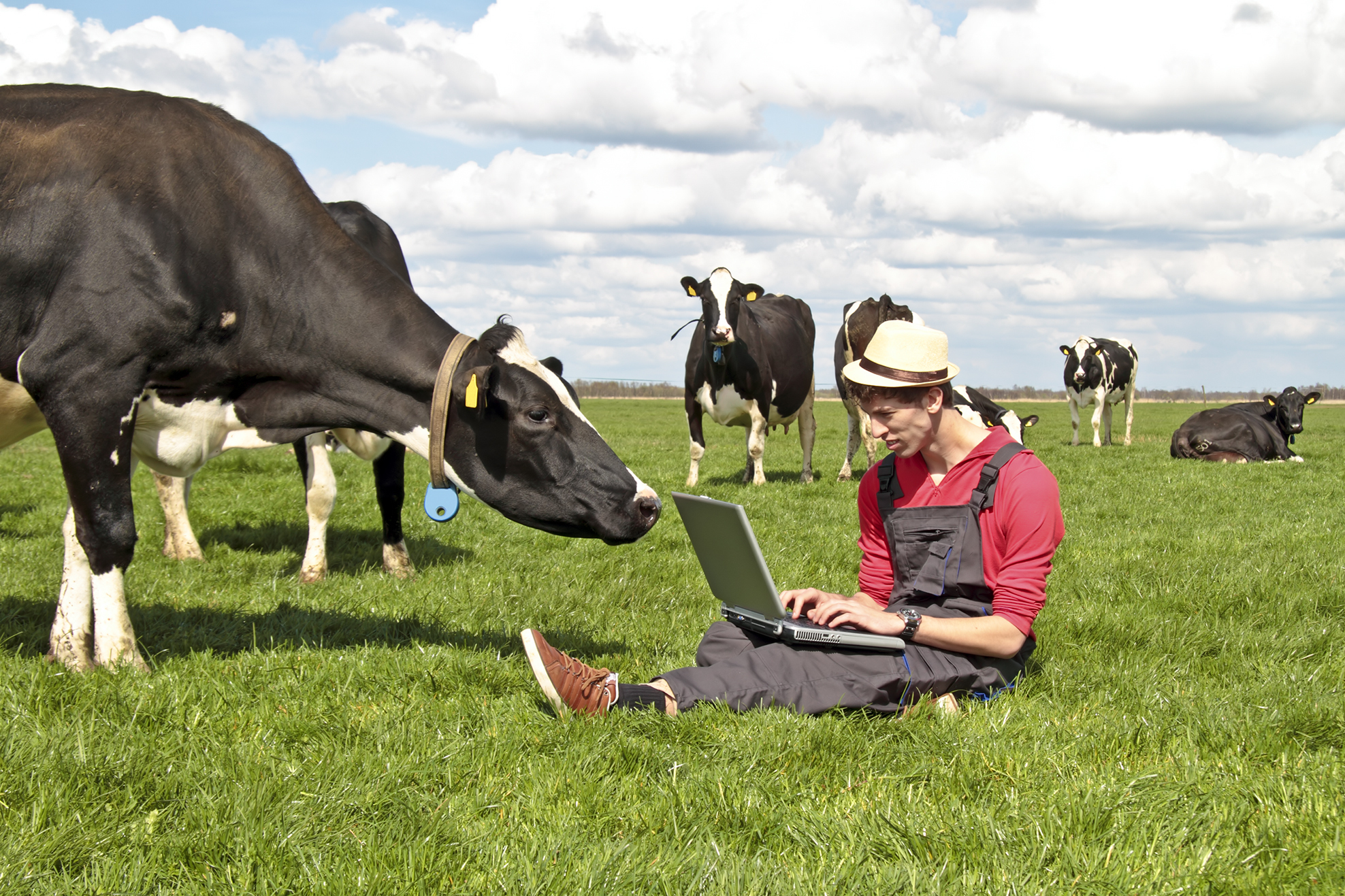 Men with a laptop on the field