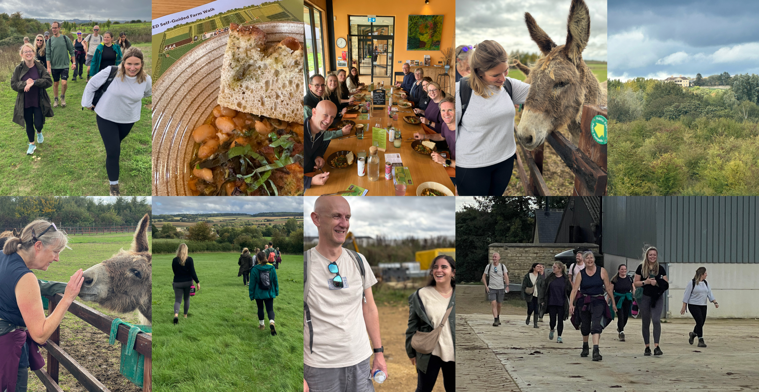 A photo montage capturing the mark-making* team's summer social. The collage includes images of the team walking on grassy paths through rolling hills , petting friendly donkeys at a fence, and enjoying a meal together at a long table indoors. A close-up shot features the vegetarian "Dish of the Day" from the FarmEd café: a bean dish topped with sourdough bread. Other images show scenic countryside landscapes.