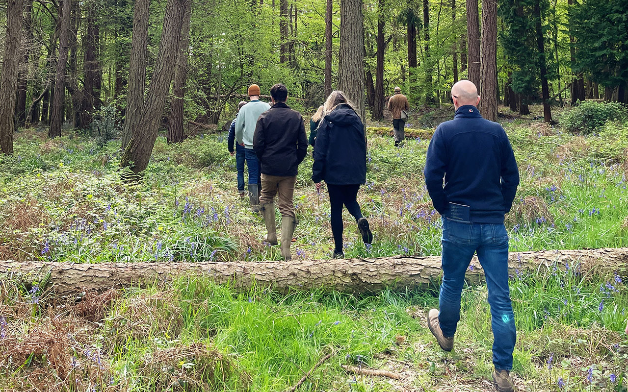 mark-making* team members walking through bluebell woodland, moving forward along a forest path