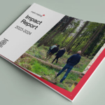Cover of mark-making* Impact Report 2023-2024 featuring team members walking through bluebell forest, B Corp certified logo visible