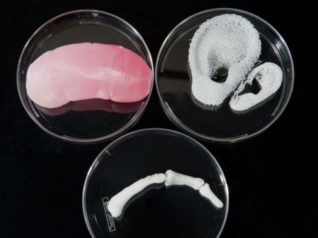 3D printed organs