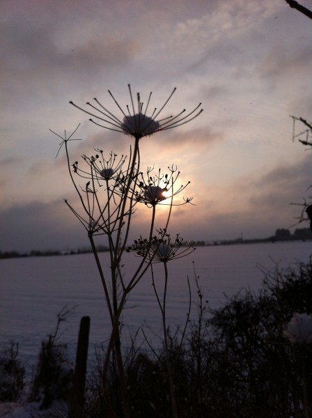 My unedited photo