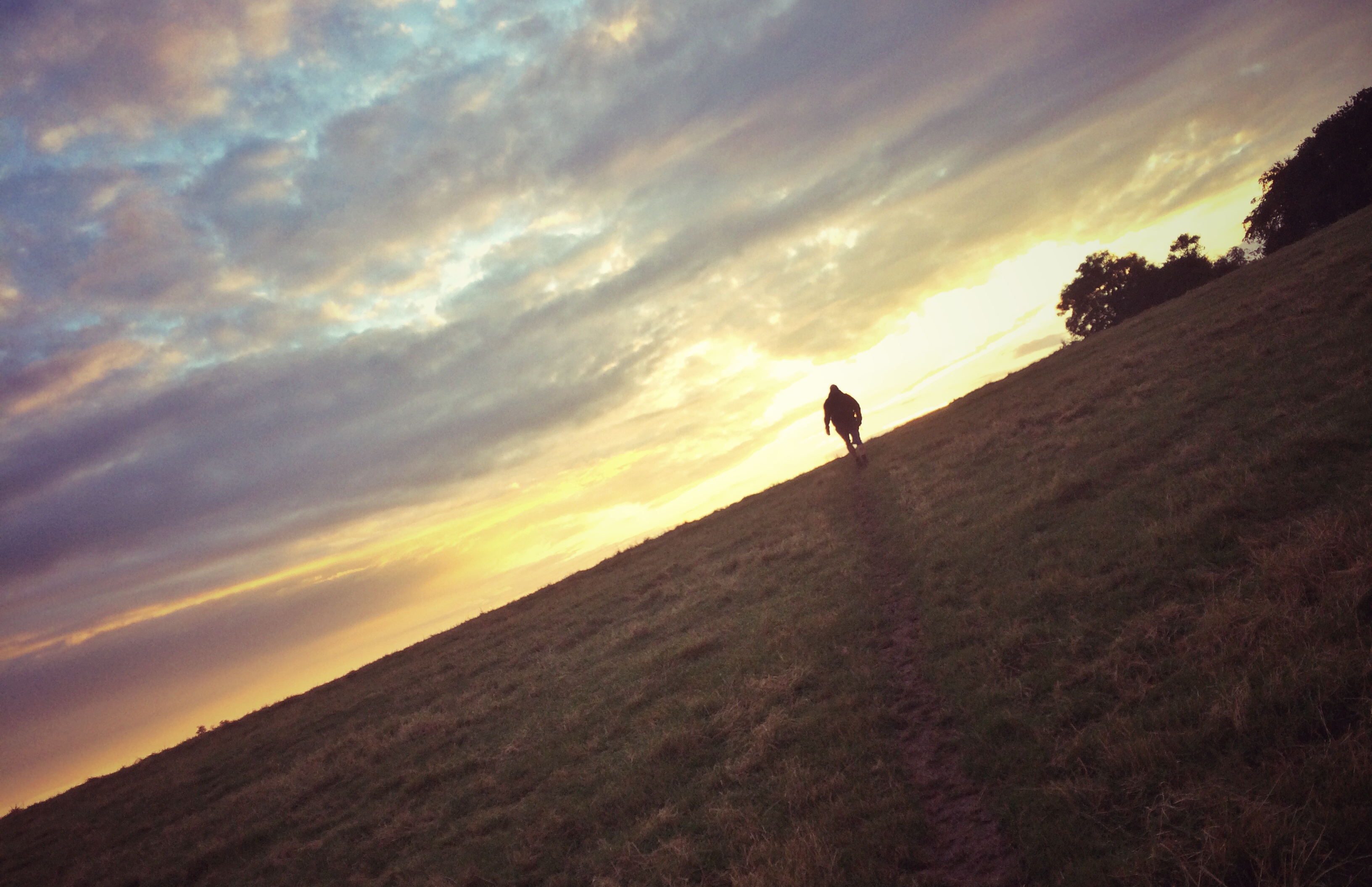 SMA_walk_06